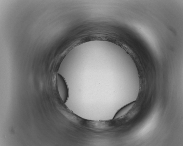 X0000114420191200910161102