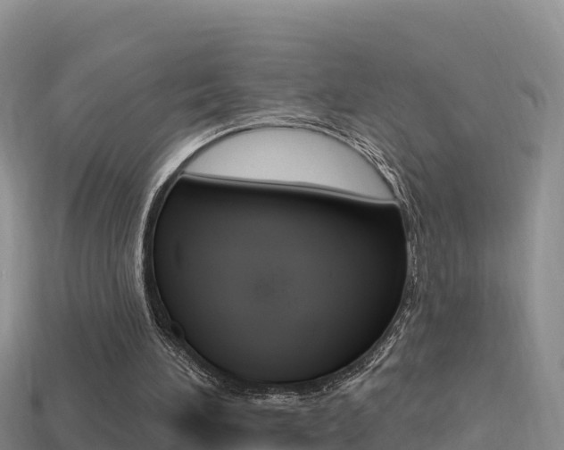 X0000114420196200910161101