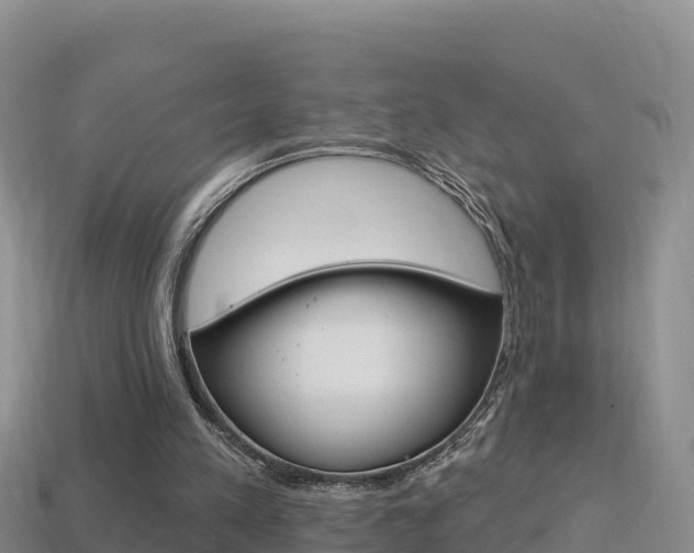 X0000114420197200910161101