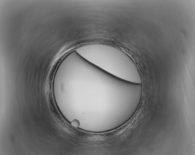 X0000114420198200910161101