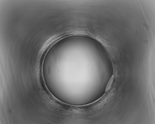 X0000114420199200910161101