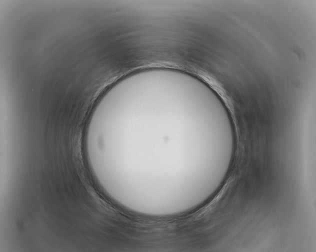 X0000114420201200910161101