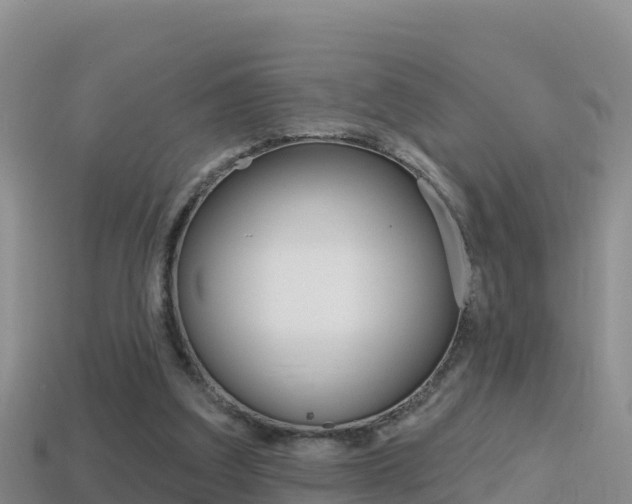 X0000114420203200910161101