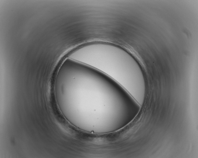 X0000114420204200910161101