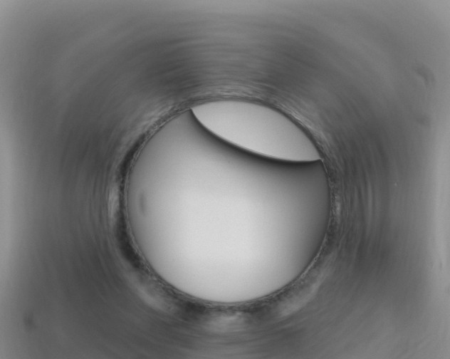 X0000114420206200910161101