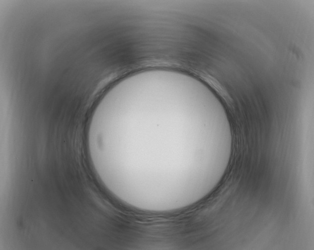 X0000114420207200910161101