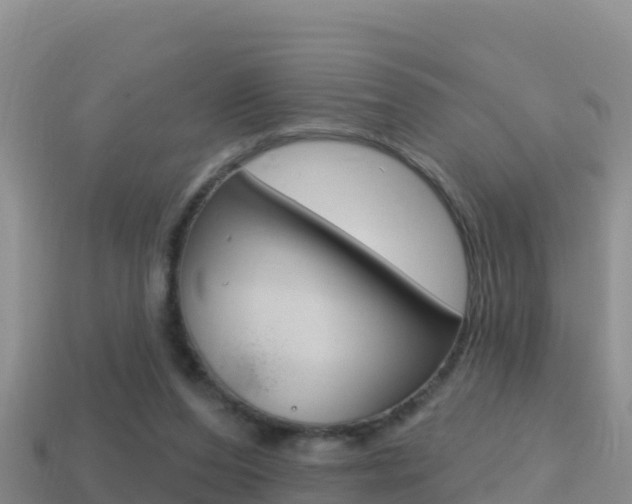 X0000114420208200910161101