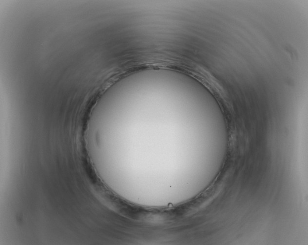 X0000114420209200910161101