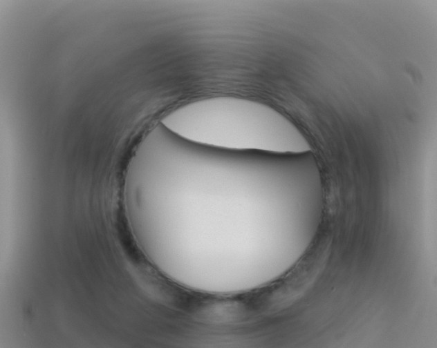 X0000114420210200910161101