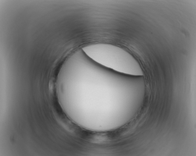 X0000114420214200910161101