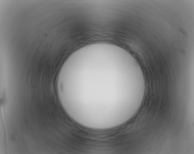 X0000114420221200910161101