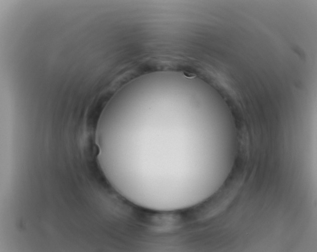 X0000114420225200910161101