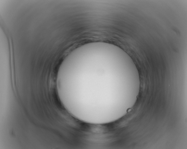 X0000114420226200910161101