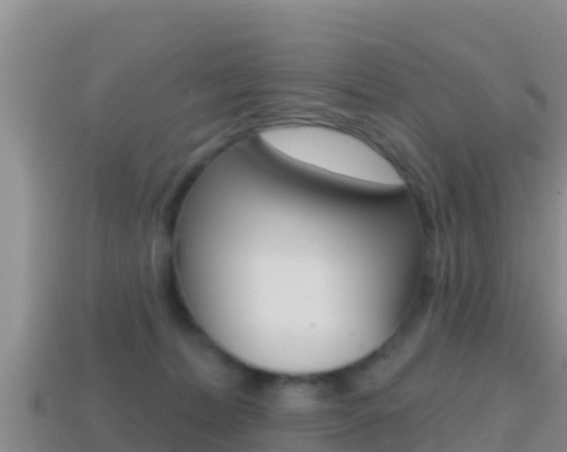 X0000114420228200910161101