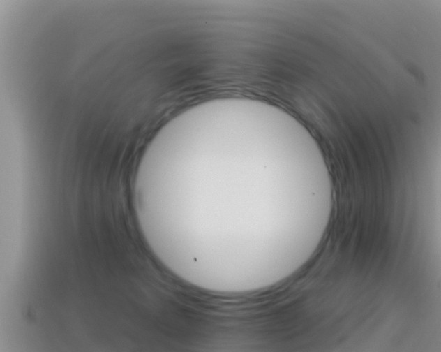 X0000114420229200910161101