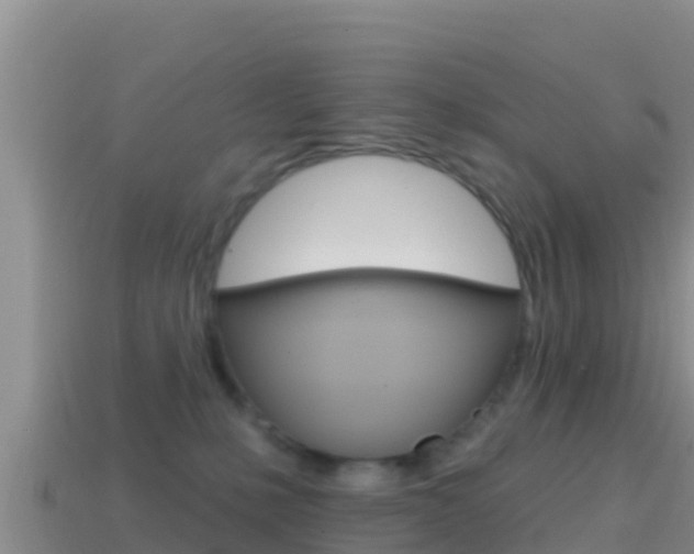 X0000114420231200910161101