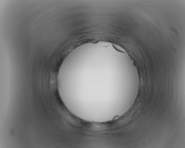 X0000114420234200910161101