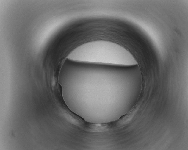 X0000114420239200910161101