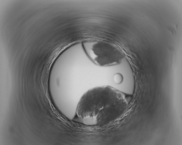 X0000114420241200910161100