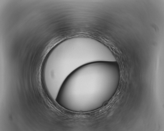 X0000114420242200910161100