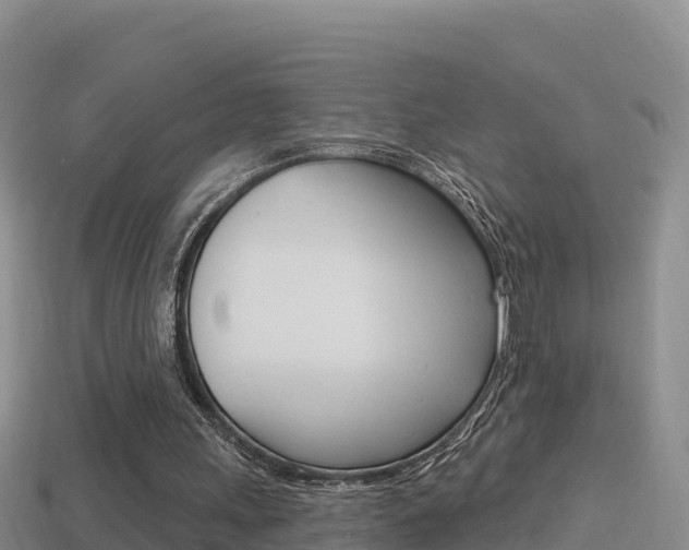 X0000114420243200910161100
