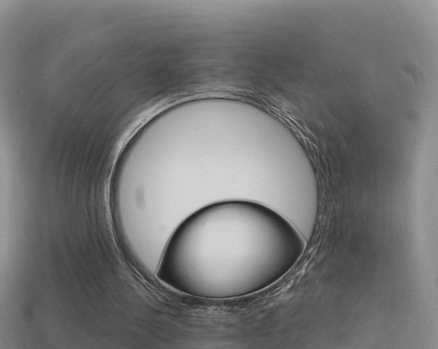 X0000114420244200910161100