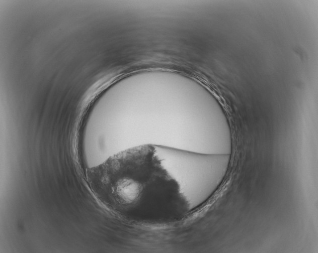 X0000114420245200910161100