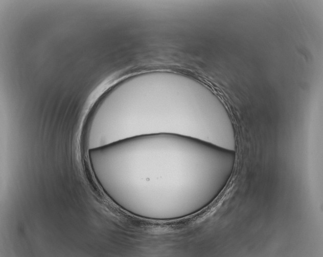 X0000114420246200910161100