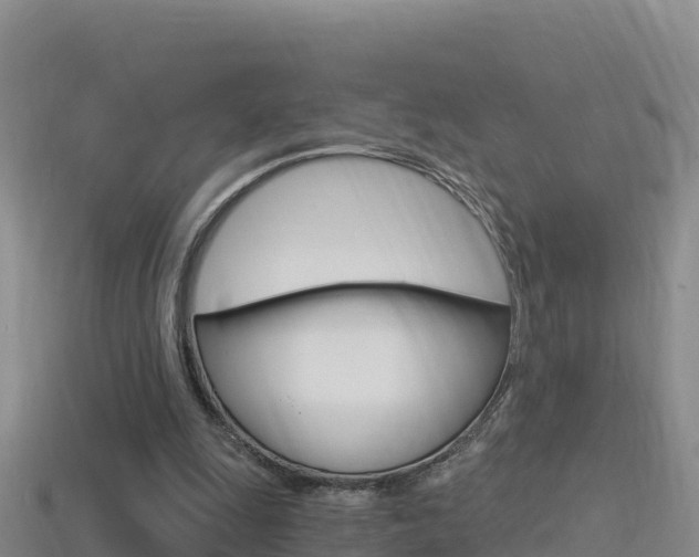 X0000114420247200910161100