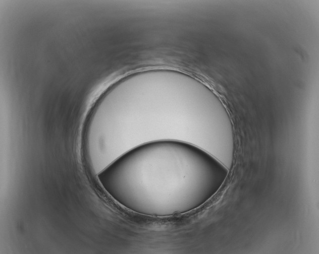 X0000114420248200910161100