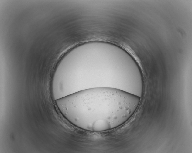 X0000114420249200910161100