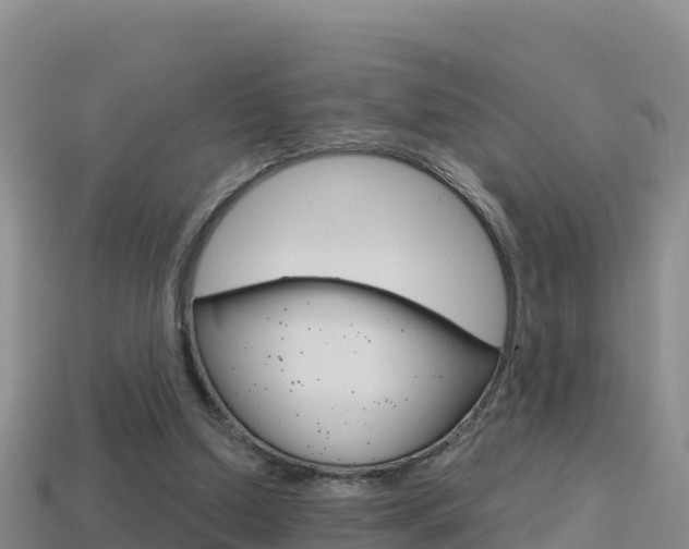 X0000114420250200910161100