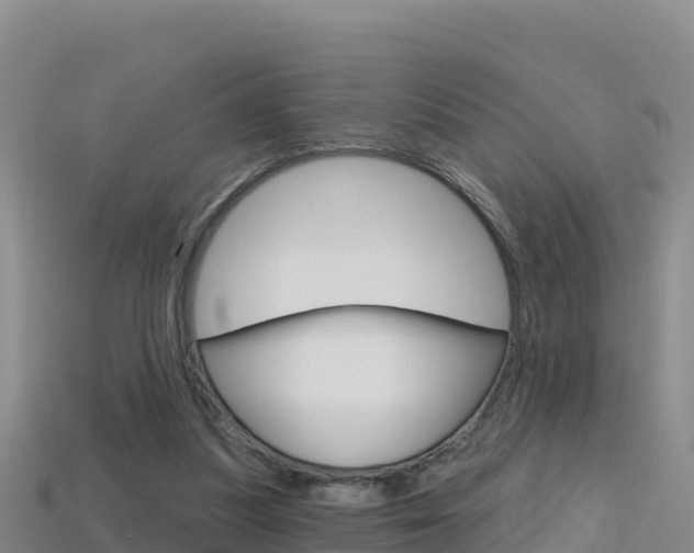 X0000114420251200910161100