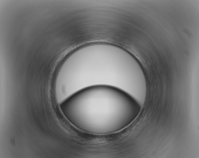 X0000114420252200910161100