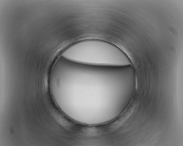 X0000114420253200910161100