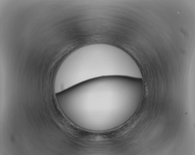 X0000114420254200910161100