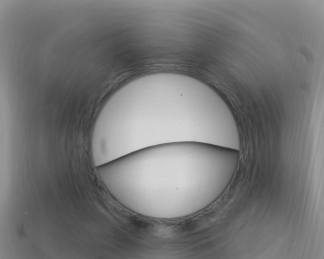 X0000114420255200910161100