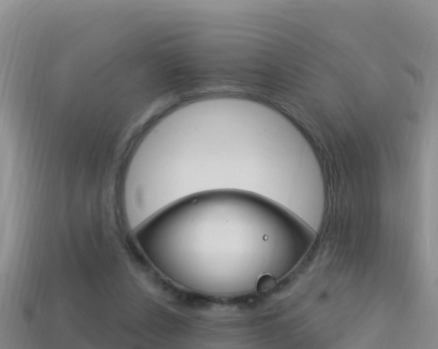 X0000114420256200910161100