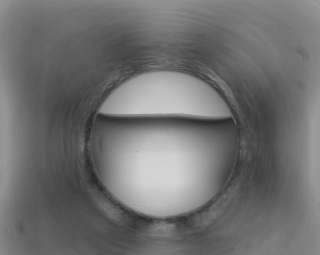 X0000114420257200910161100