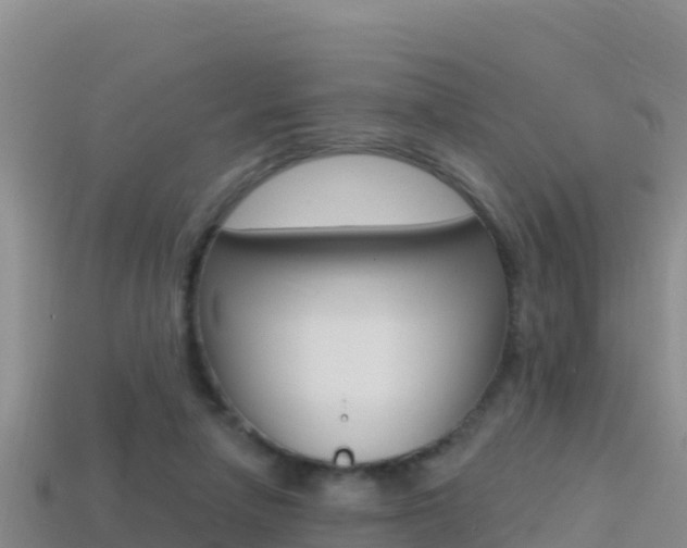 X0000114420258200910161100