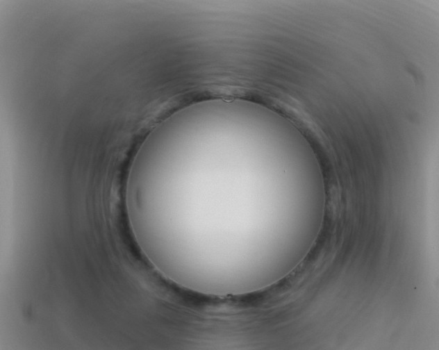 X0000114420259200910161100