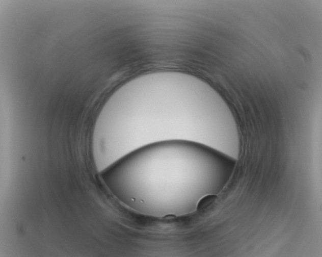 X0000114420260200910161100