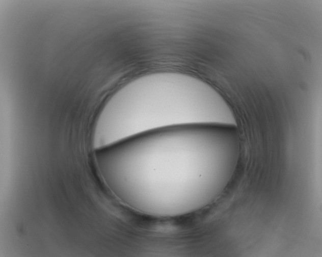 X0000114420262200910161100