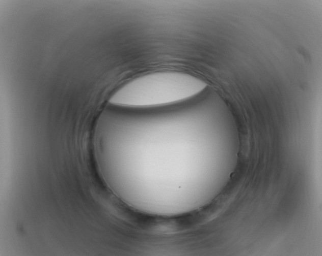 X0000114420263200910161100