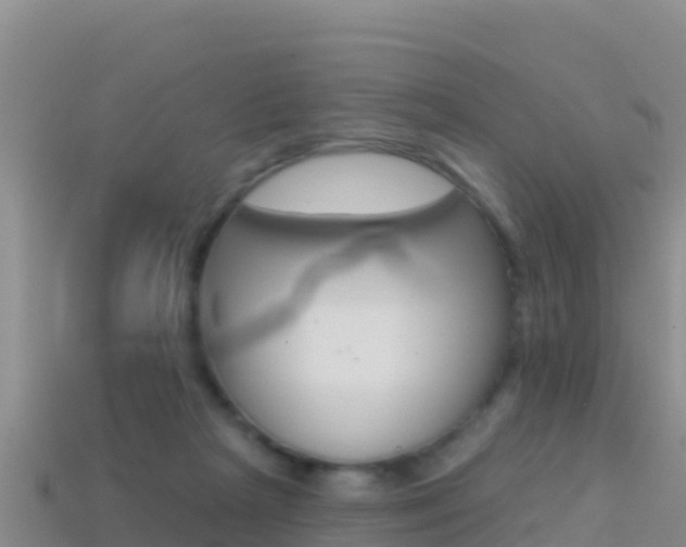 X0000114420265200910161100