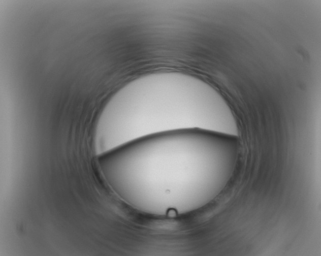 X0000114420266200910161100
