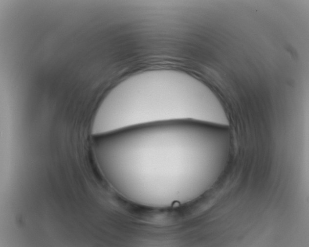 X0000114420267200910161100