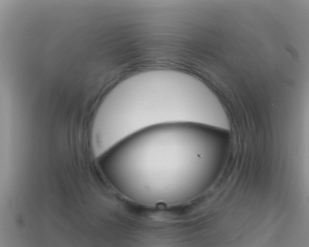 X0000114420268200910161100