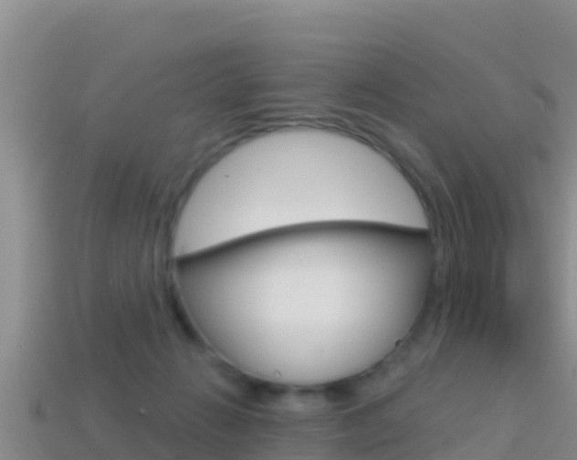X0000114420270200910161100