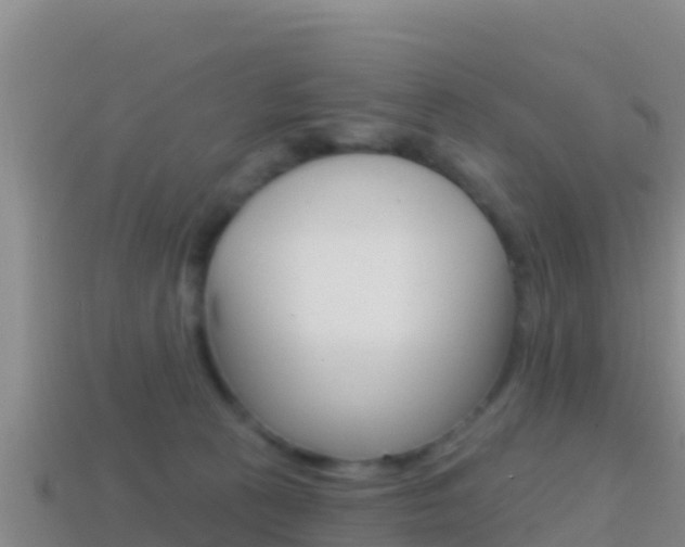 X0000114420273200910161100